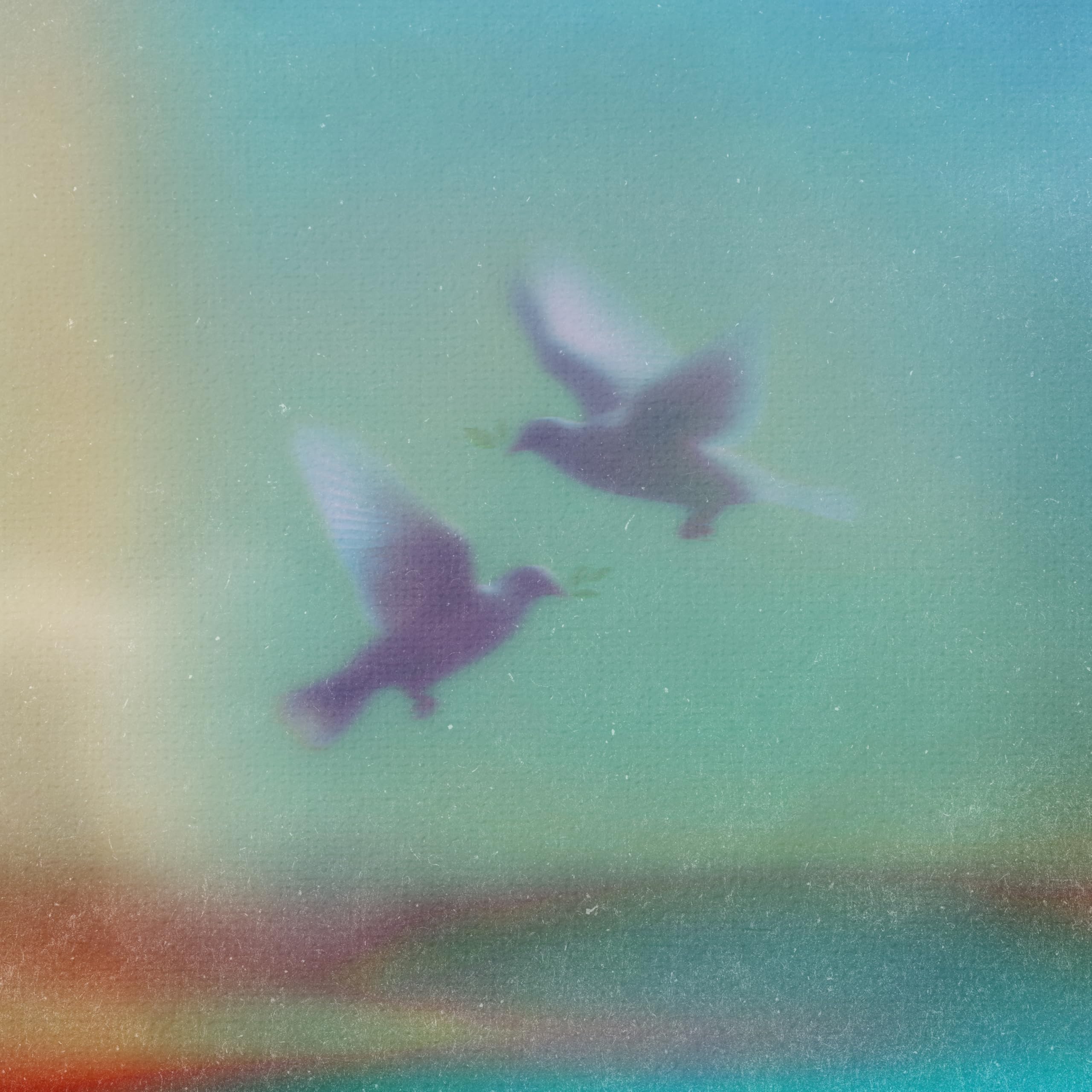 Image Cover